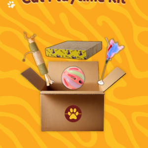 Cat playtime kit with interactive toys for indoor cats