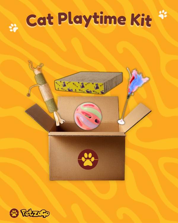 Cat playtime kit with interactive toys for indoor cats