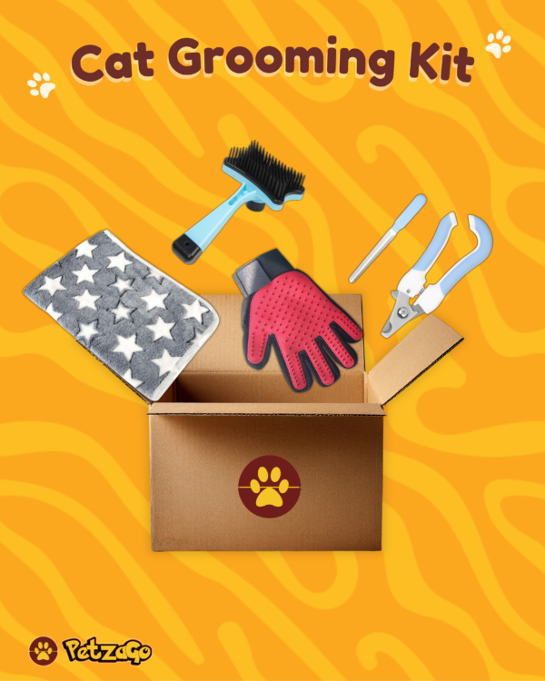 Cat grooming kit with brush, comb and grooming essentials for cats