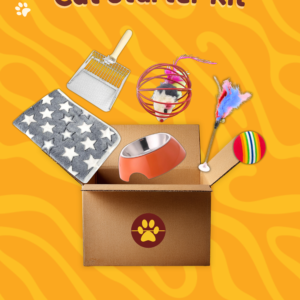 Cat starter kit bundle with essential supplies for new cat owners