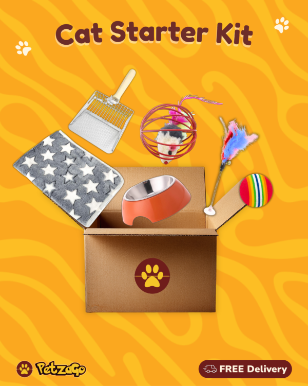Cat starter kit bundle with essential supplies for new cat owners