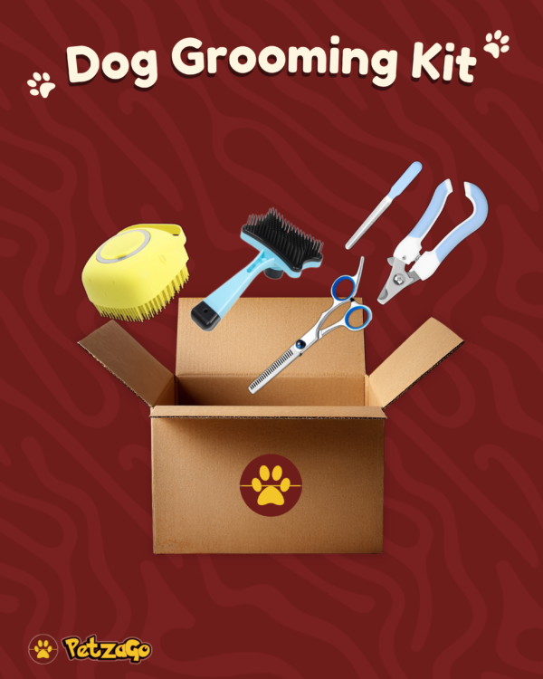 Dog grooming kit with brush, nail clipper, comb and pet care essentials