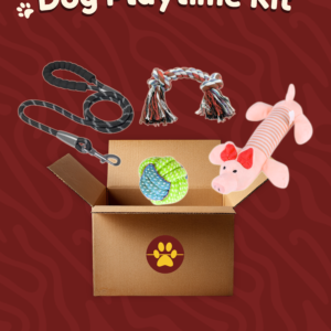 Dog playtime kit with chew toys and interactive pet toys bundle