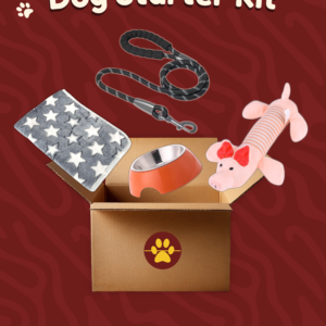 Dog starter kit bundle with basic pet essentials for new dog owners