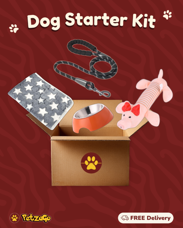 Dog starter kit bundle with basic pet essentials for new dog owners